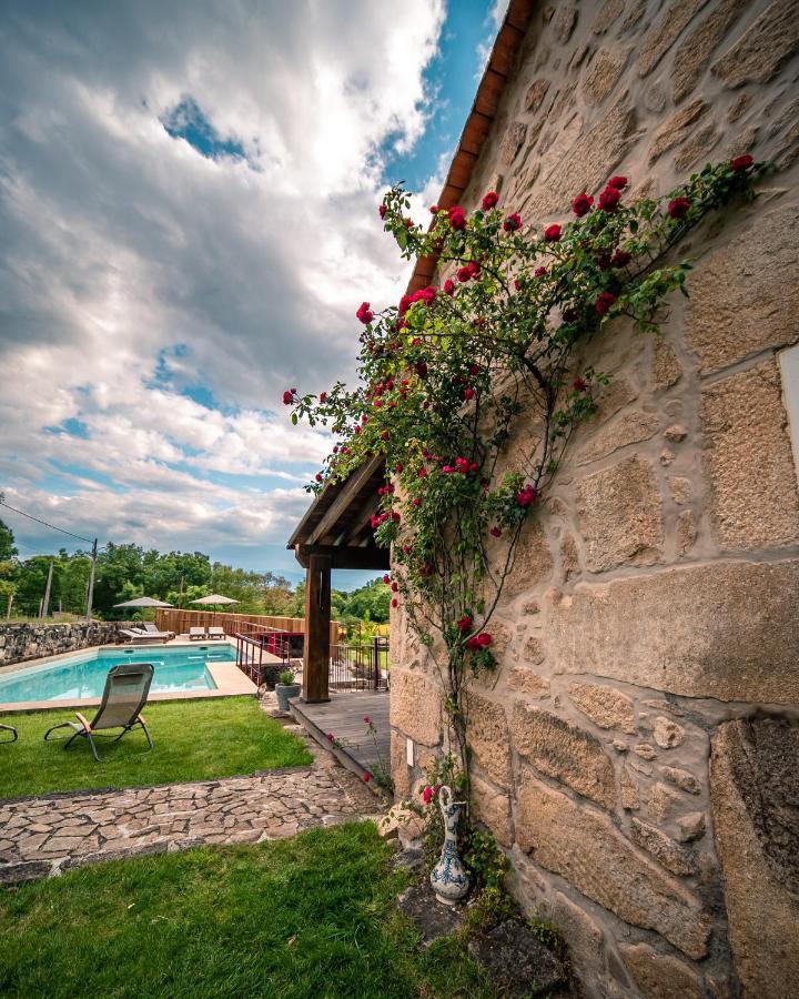 Casa Da Varzea - Serra Da Estrela Fornos de Algodres Exterior photo