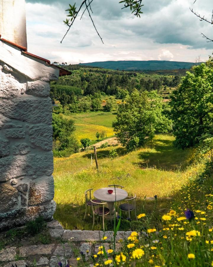 Casa Da Varzea - Serra Da Estrela Fornos de Algodres Exterior photo